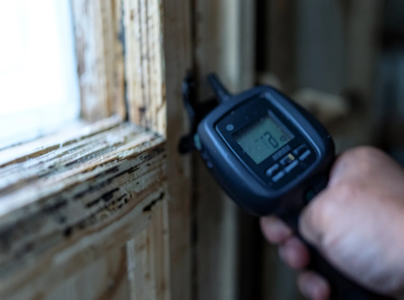 Commercial Water Damage Restoration in Mount Shasta, CA